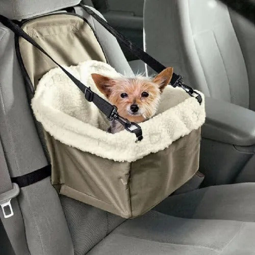 El Asiento que tu Peludo Amará ❤️🐶